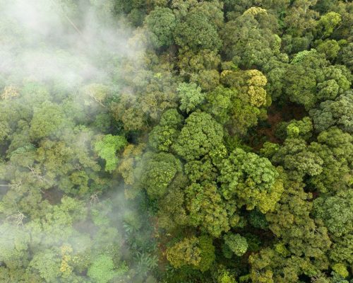 38bf635008590efa2f4d072ad29f9073